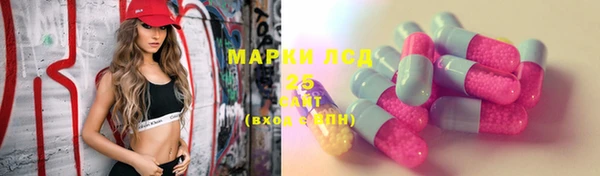 mdpv Богородск