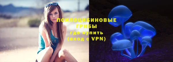 mdpv Богородск