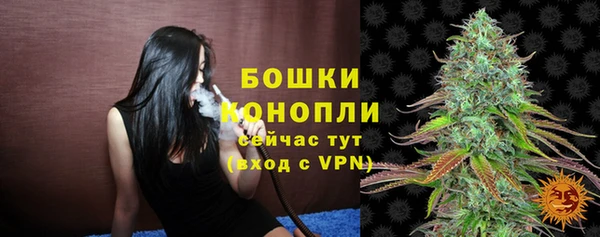 mdpv Богородск