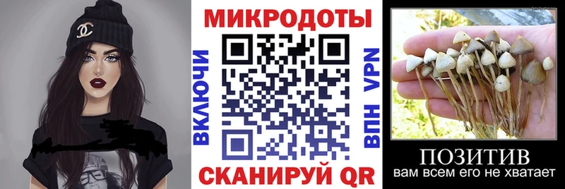 хочу наркоту  Колпашево  Псилоцибиновые грибы Cubensis 